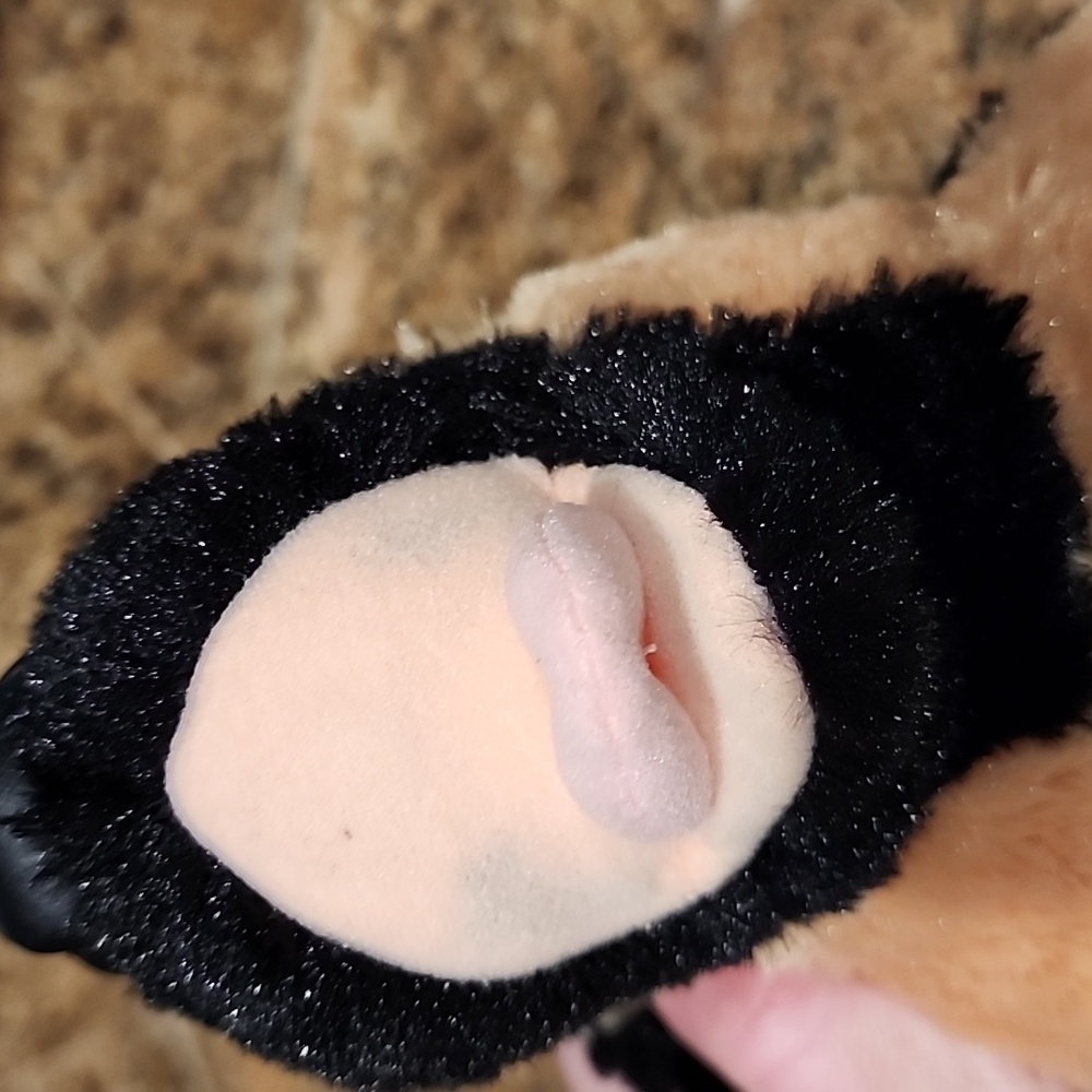 Build-A-Bear German Shepard - Picture 8 of 10